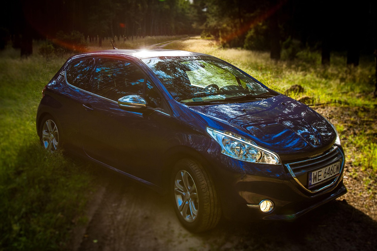peugeot, peugeot 208, forest, car, car wallpapers, nature, forest road, automobile
